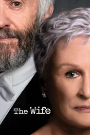 The Wife 2017