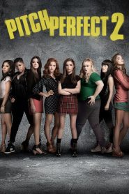 Pitch Perfect 2 (2015) ????????????????