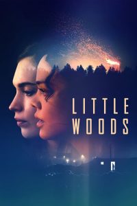 Little Woods (2019)