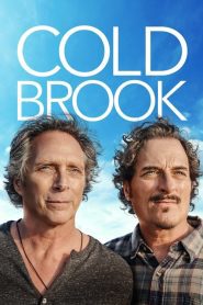 Cold Brook (2018)